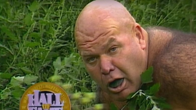 george steele the animal