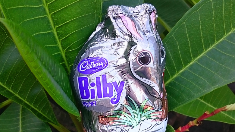 bilby chocolate