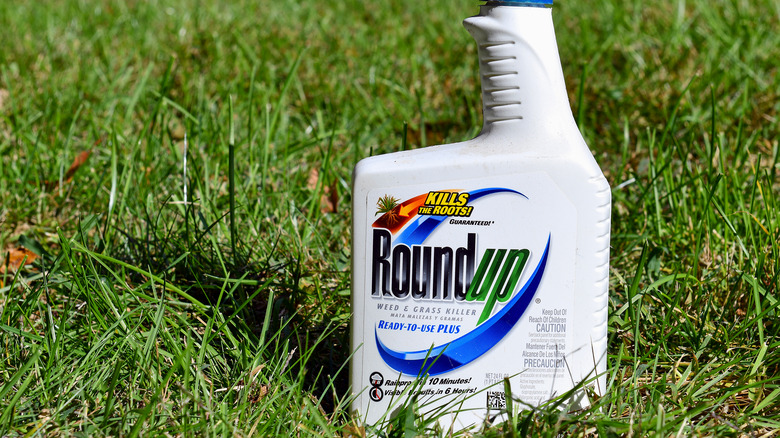 Roundup 