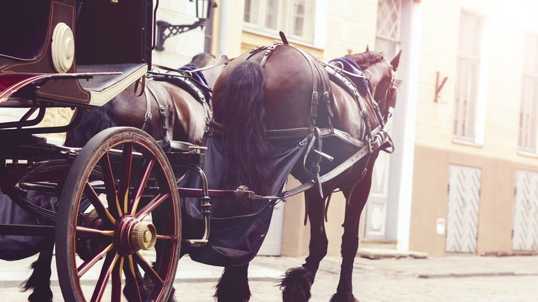 Horse and carriage