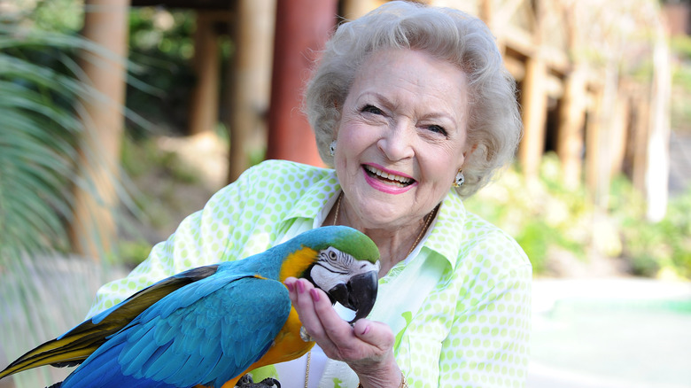 White holds parrot