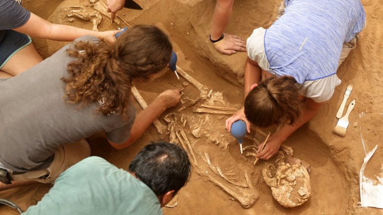 archaeology, excavation, Philistine cemetery