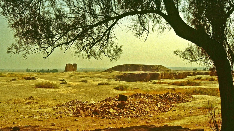 Ruins of ancient Susa