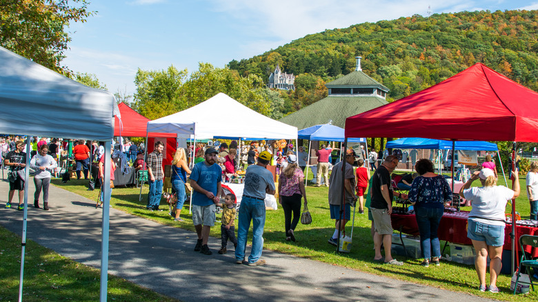 Annual Sasquatch Calling Festival in the Adirondacks 