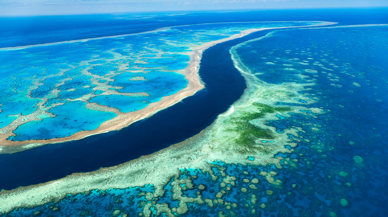 The Great Barrier Reef