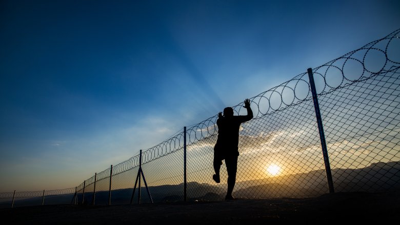 Border Crossing Ecoalberto