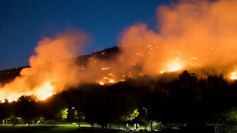 california wildfire