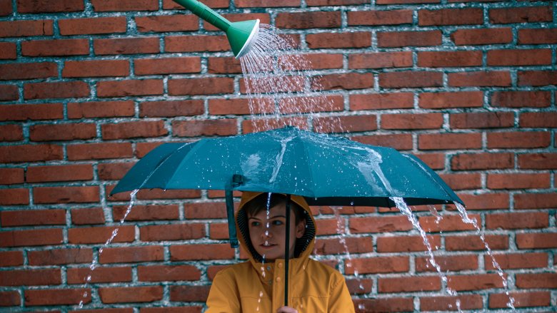 fake rain umbrella