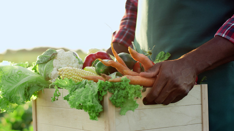 Black person holding vegetables