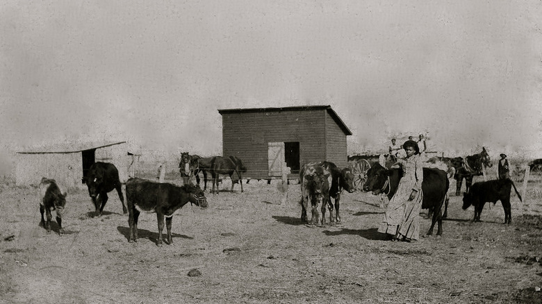 Black farmers Oklahoma