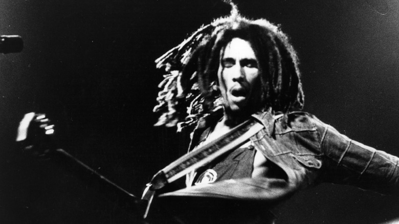 Bob Marley live in concert