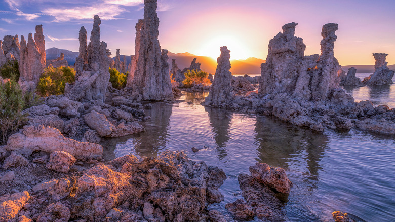 Mono Lake salt rock formations at sunset