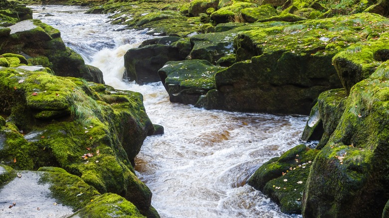 The Bolton Strid, England running fast