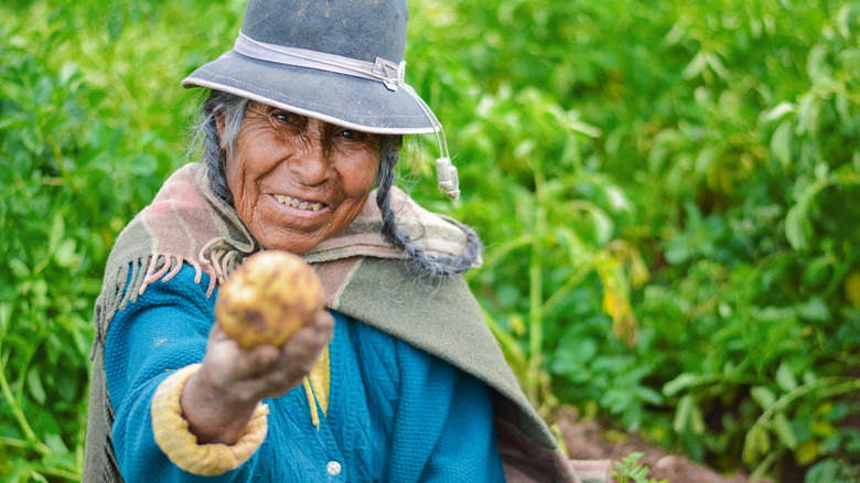 Aymaran farmer holding potato