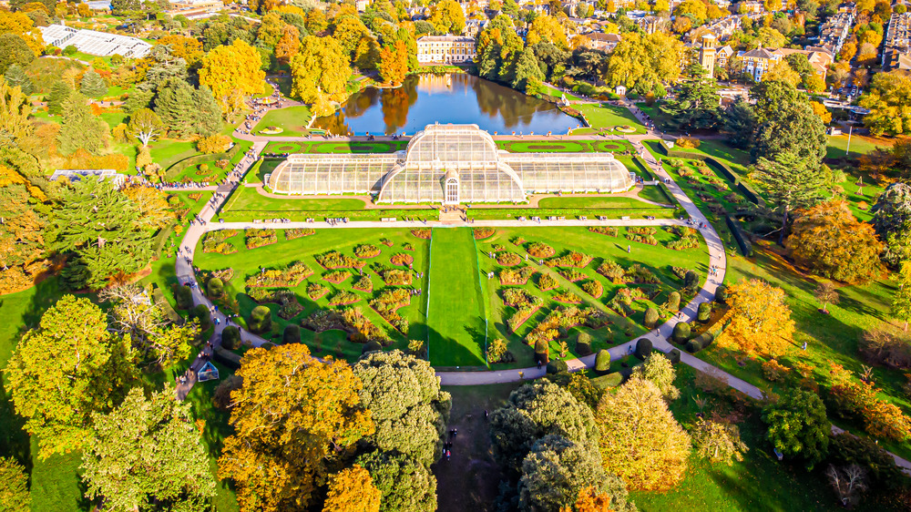 Kew Botanic Gardens aerial view sunlit