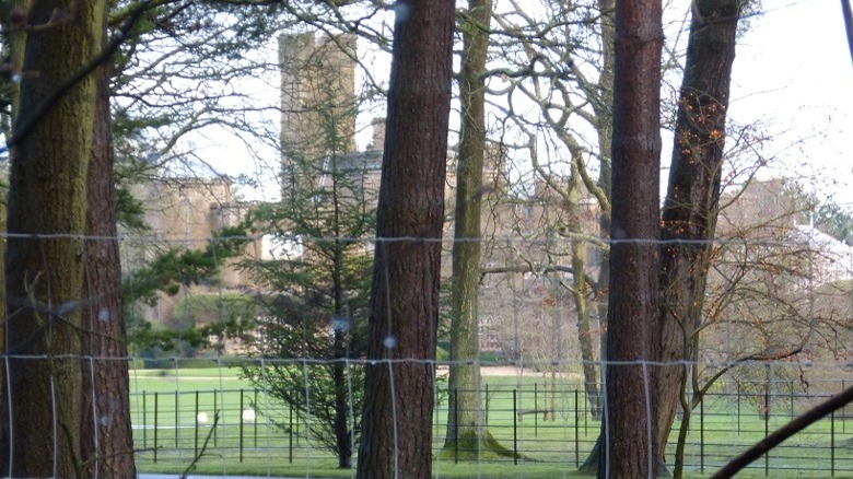 fort belvedere fenced in