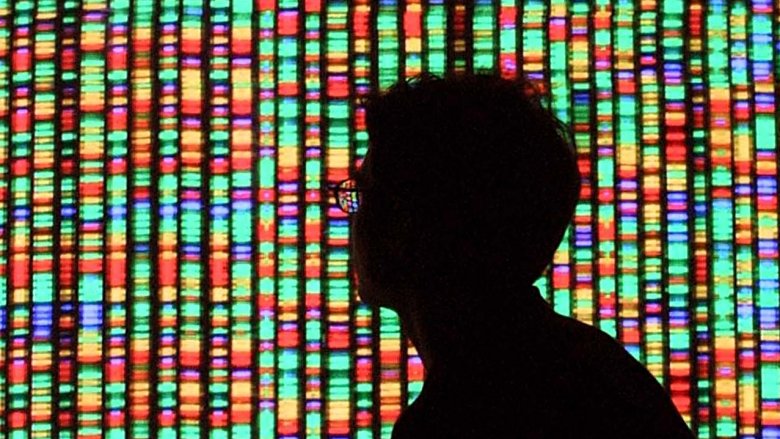 Silhouette and human genome