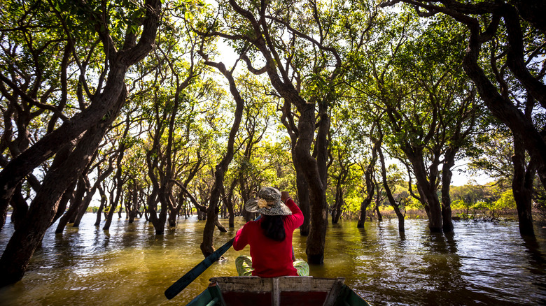 Tonle Sap River