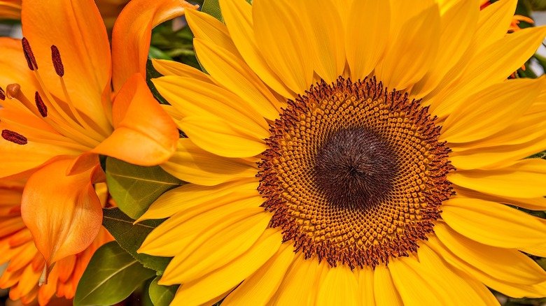 Brightly colored flowers