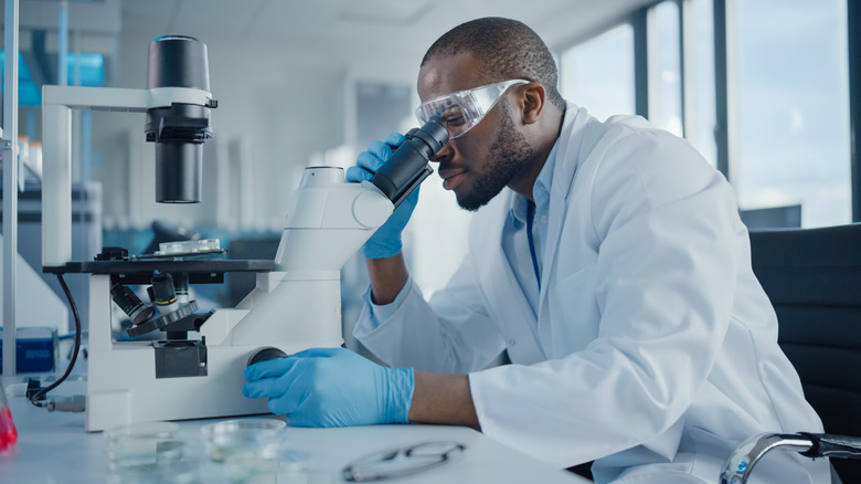 scientist looking in microscope