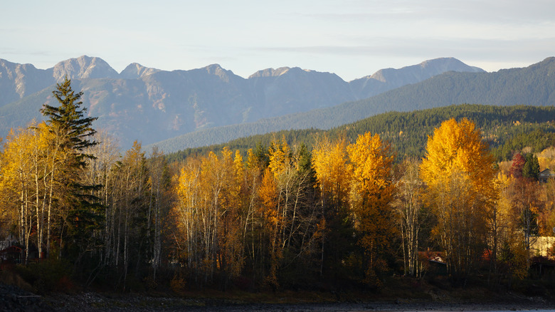 Terrace, British Columbia