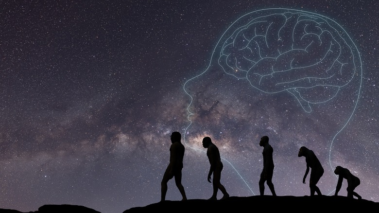 Human evolution with brain drawing against sky