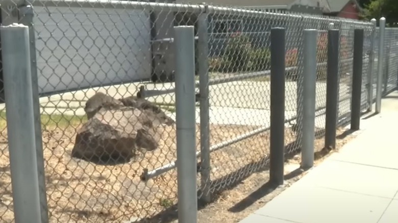 steel poles to protect home