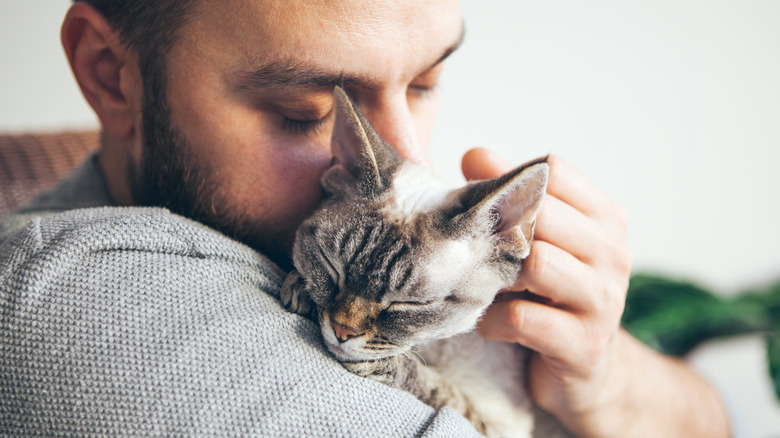 Cuddling cat