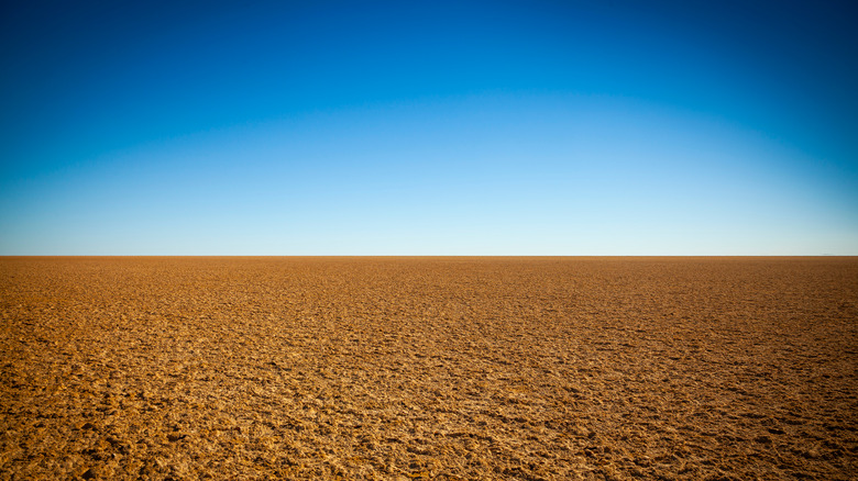 Dry flat featureless desert in Australia