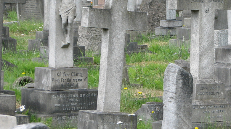 Graves in Brompton Cemetery