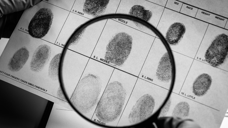 fingerprints beneath magnifying glass
