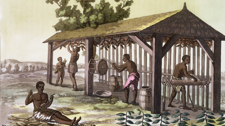 Enslaved people preparing tobacco