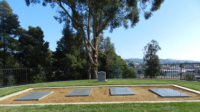 gravesite of unclaimed bodies Jonestown massacre