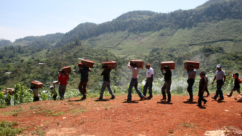 Exhumation Ixil people carrying loved ones