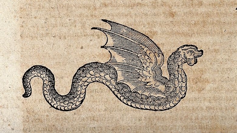 Drawing of a winged snake