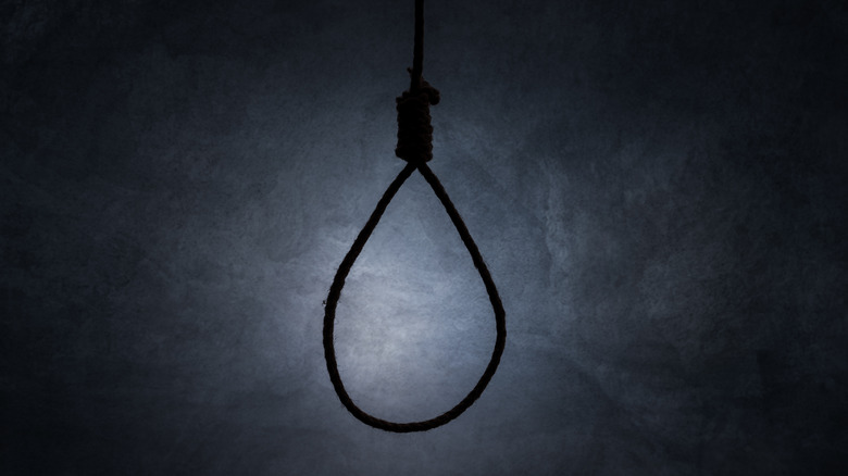 noose on a foggy background