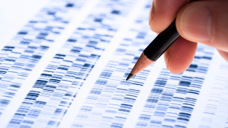 Genome diagram