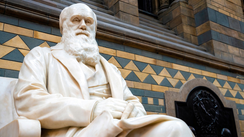 Statue of Charles Robert Darwin was an English naturalist and biologist in Natural History Museum. London, United Kingdom