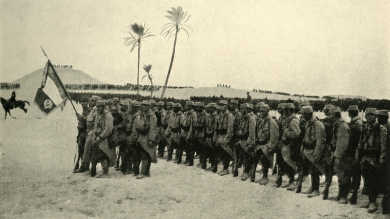 french troops in egypt 1915 french flag palm trees desert