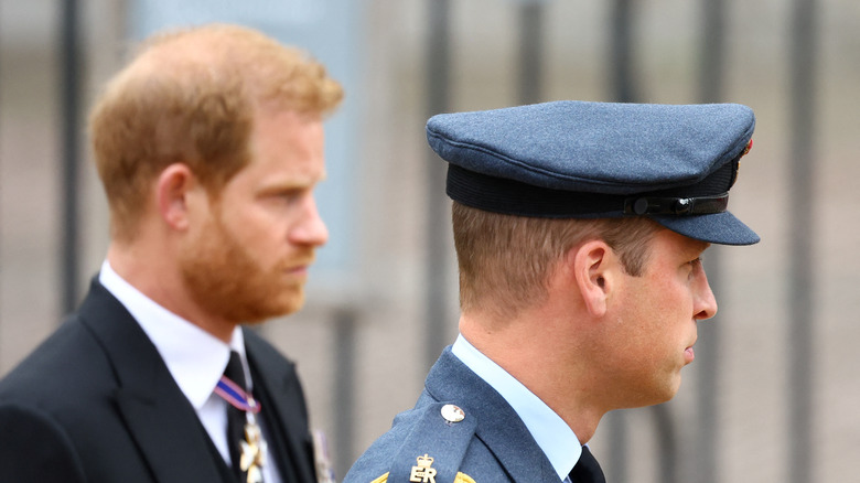 Princes William and Harry marching at Queen's funeral