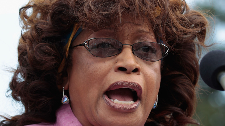 Corrine Brown addresses a crowd