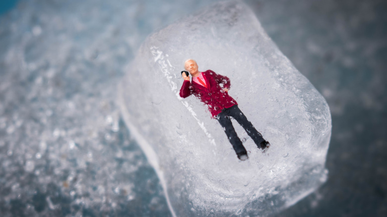 Figurine in ice 