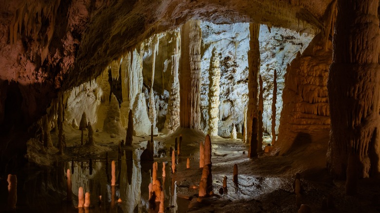 Cave stalagmites