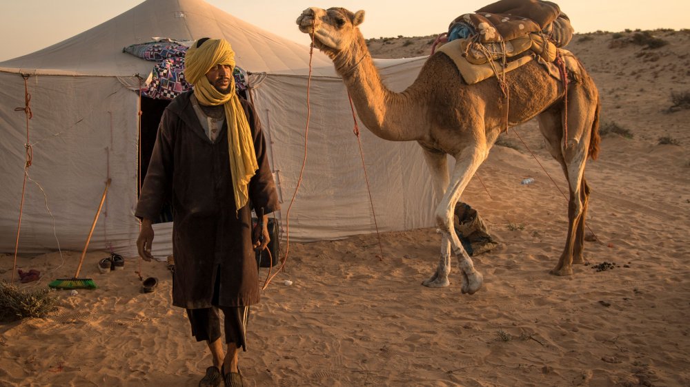 western sahara