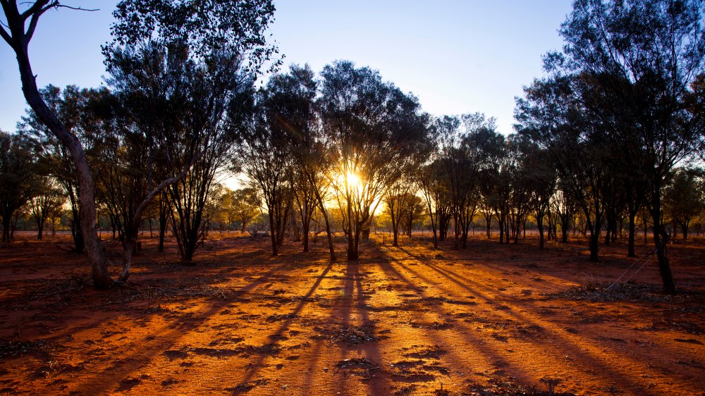 australian outback