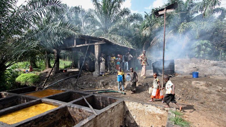 burundi village with thatched building