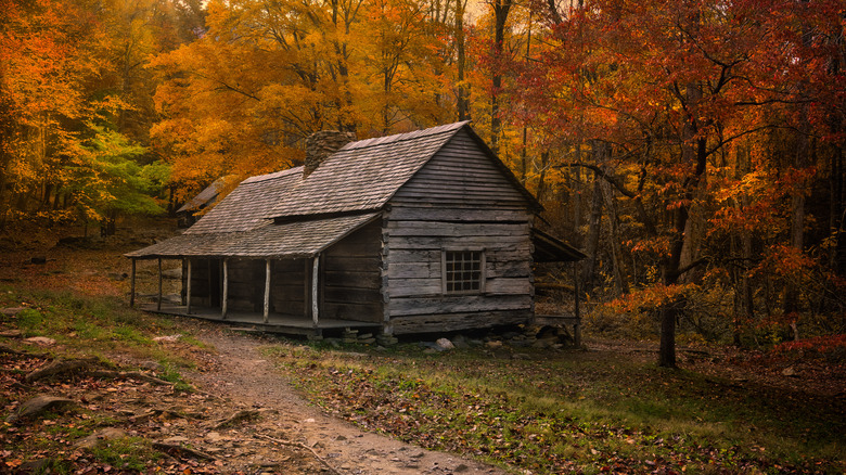 A cabin in Great Smoky Mountains National Park