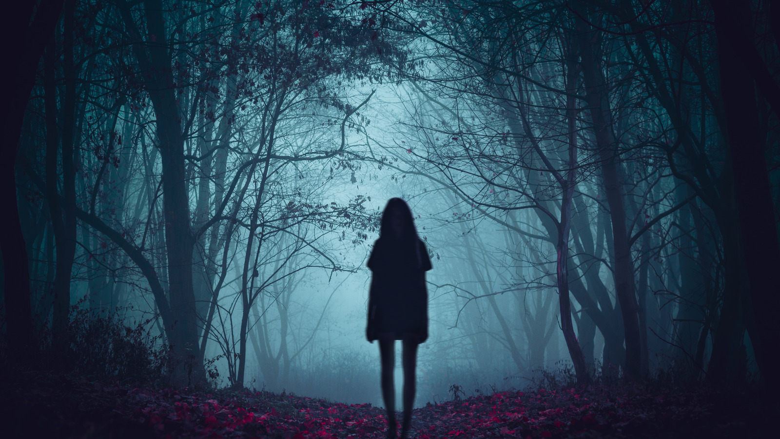 Creepy Stories: These People Were Swallowed Alive By The Forest