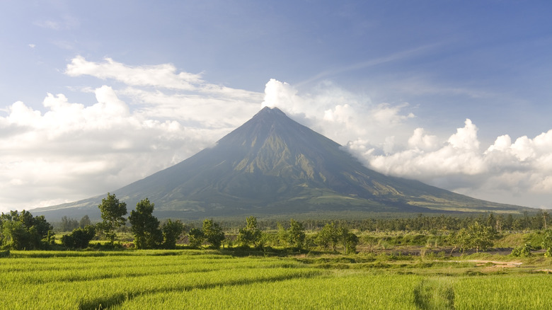 view of Mayon Volcano in blackground of field