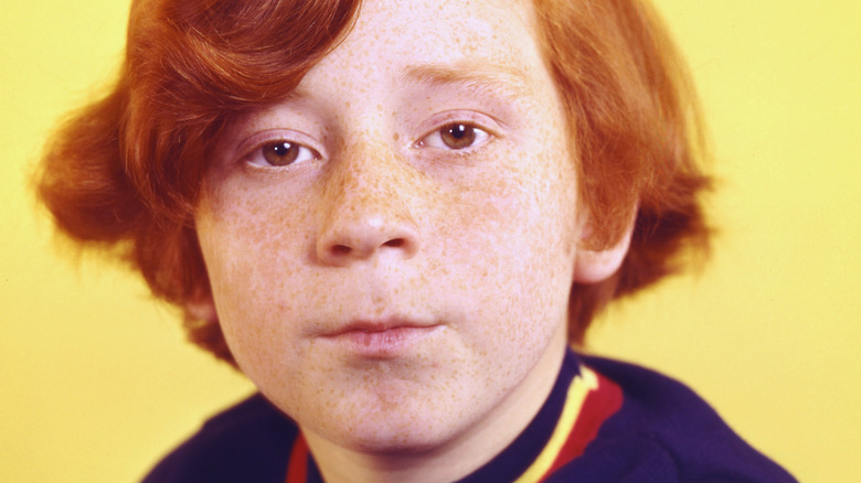 Danny Bonaduce as Danny Partridge